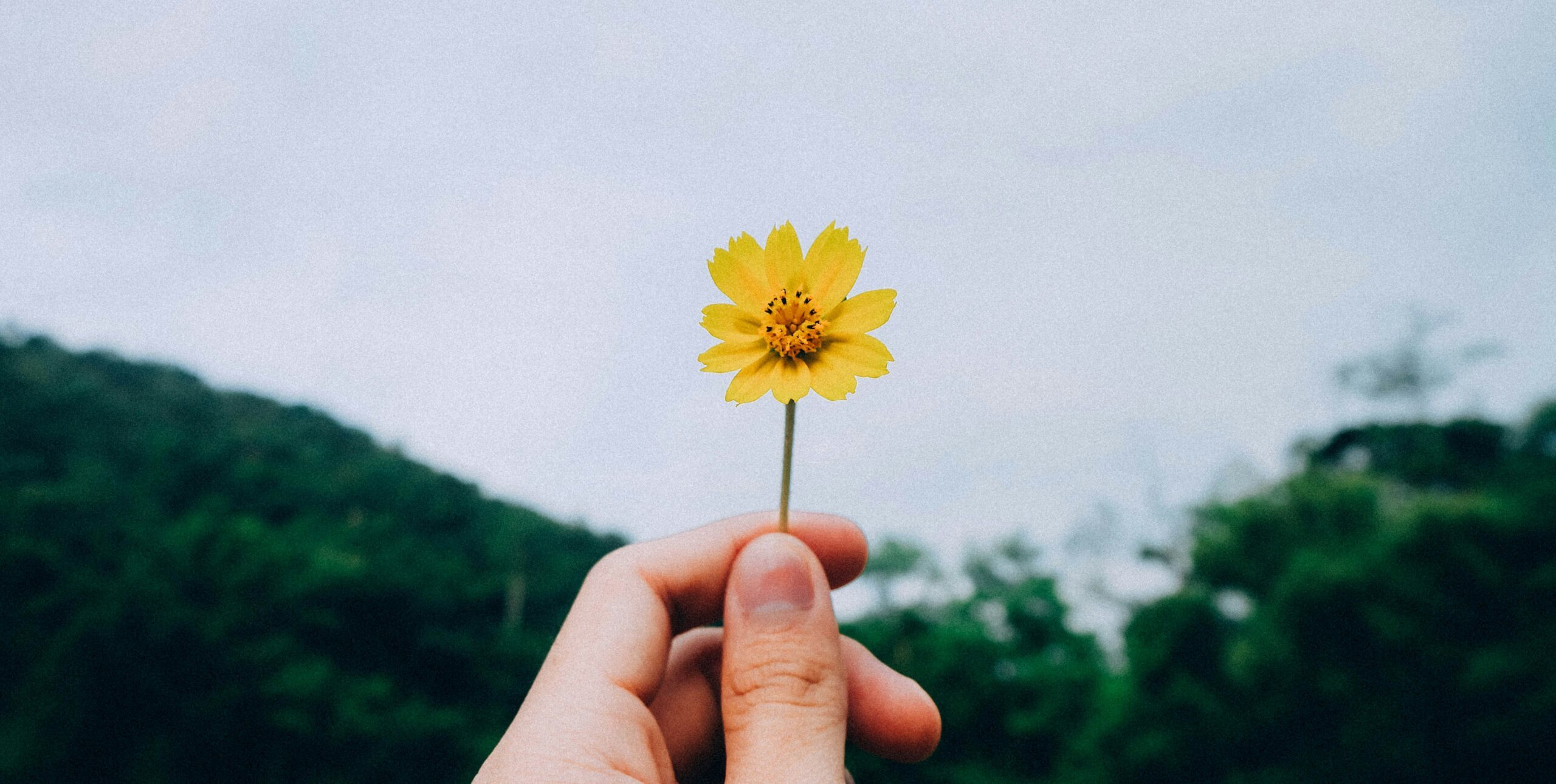 immagine di progetto "Climattiviamoci" 1