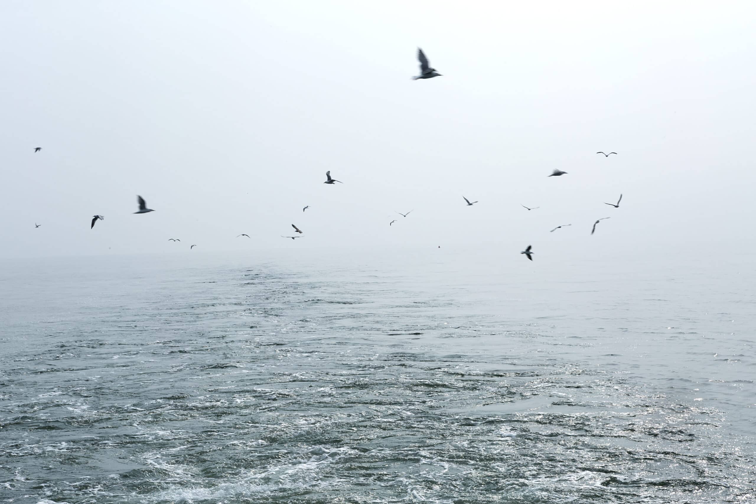 immagine di progetto "Comunità di pratica blu" 1