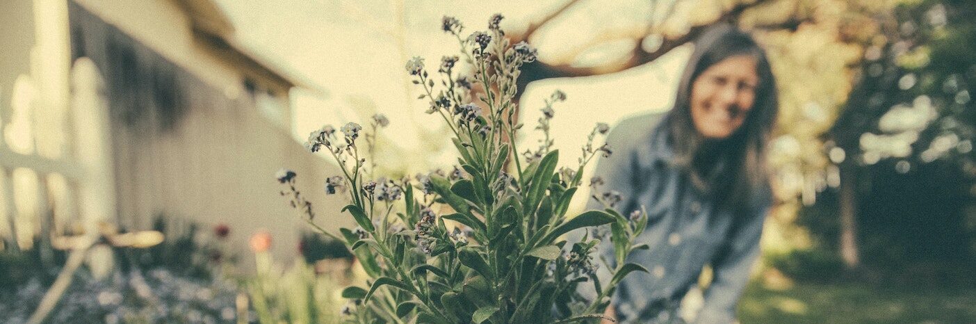 immagine di progetto " ALL – Agro Living Lab Ponticelli" 1